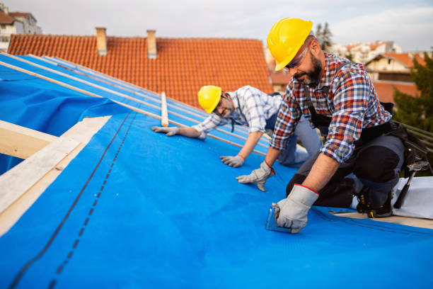 Fast & Reliable Emergency Roof Repairs in Highland Park, PA